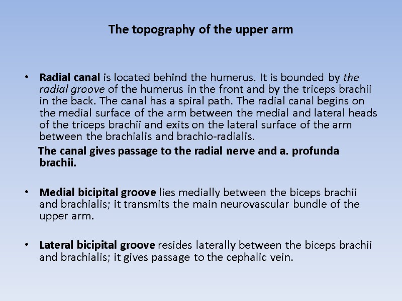 The topography of the upper arm  Radial canal is located behind the humerus.